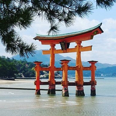 miyajima.jpg